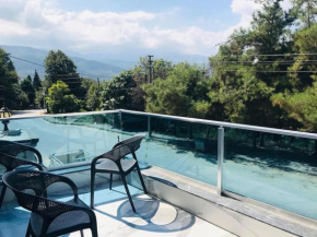 Sapanca Villa View Suite
